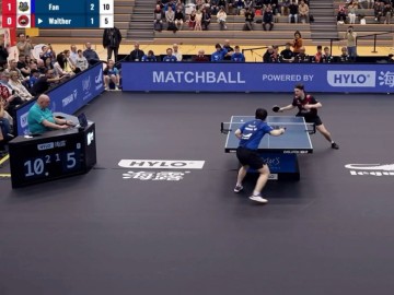 开云体育投注-樊振东3比1战胜沃尔瑟，激烈对决引燃赛场|流鼻血|爽啊_新浪体育_新浪新闻